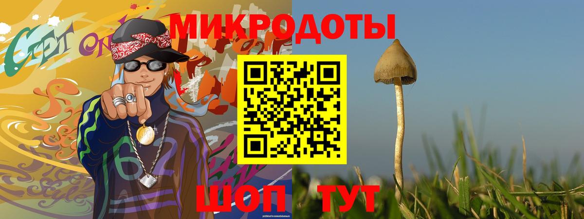 Псилоцибиновые грибы ЛСД  Псилоцибиновые грибы Cubensis  где продают   Новошахтинск  Вход с VPN 